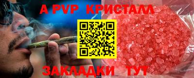 a pvp Кингисепп