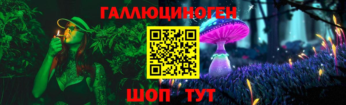 Галлюциногенные грибы прущие грибы Буйнакск